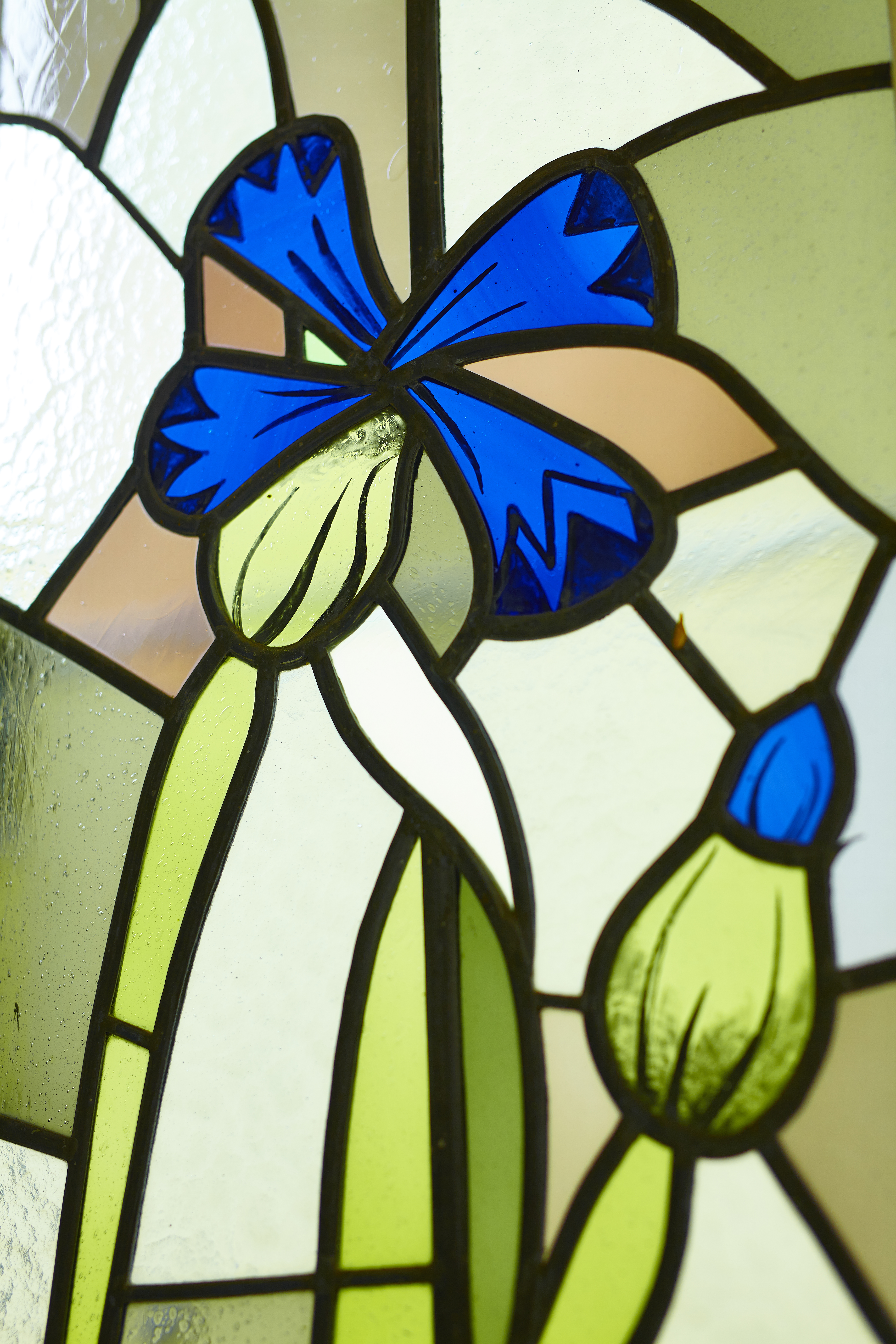 Notarin Dr. Nicole Plate